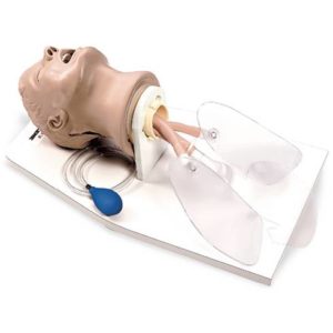 Tête intubation adulte LF03699Nasco