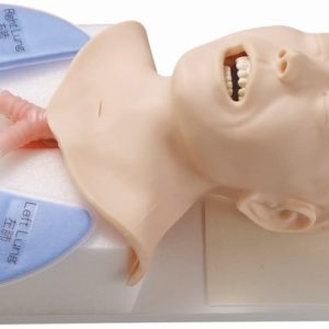 M175 - Mannequin intubation endotrachéale M175Sakamoto Model corp.