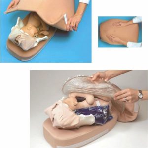 Modèle de palpation abdominale SB23476Nasco