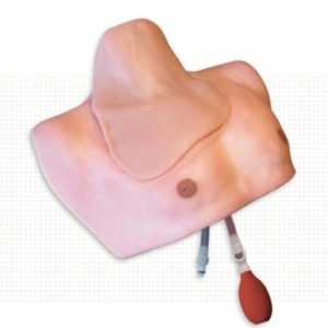 1222 CLM50 CentraLineMan CLM50Simulab