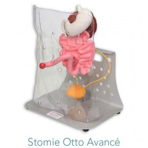 AV310 Stomie Otto avancé AV310VATA