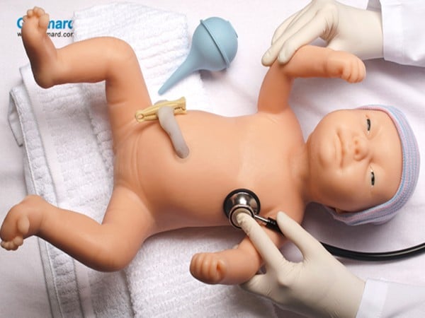 Enseignement Sur Le Bébé De Mannequin Chaud Pour Manipuler Nouveau-né  Pendant L'accouchement Par Le Siège Photo stock - Image du réel, purge:  154493160