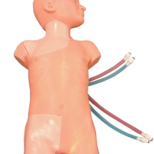 Système vasculaire enfant VAC30Simulab
