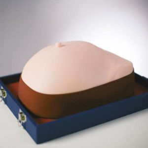 Simulateur de palpation mammaire KKM44Kyoto Kagaku