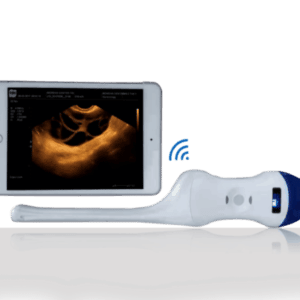 Double Sonde convexe et endovaginale