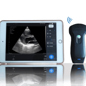 Double Sonde convexe et linéaire Convexe R45,Linéaire L25 avec phase Array virtuelle