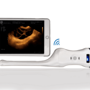 Double Sonde convexe et endovaginale