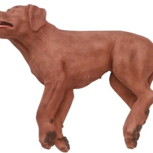 Chien de réanimation RCP "CasPeR"