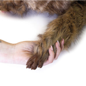 Chien "Rocky" - mannequin de positionnement